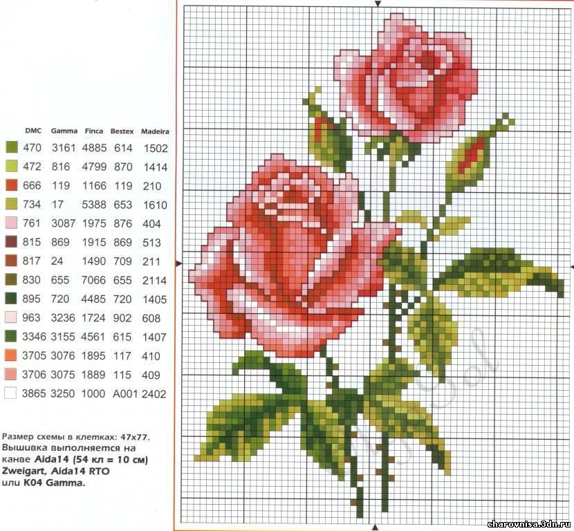Схемы вышивки крестиком цветов бесплатно: розы, маки, орхидеи, тюльпаны