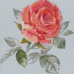 Роза Восхищение - Схема Вышивки Крестом Цветы Большие Купить