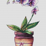 Орхидея в горшочке - Схема Вышивки Крестом Авторская Купить