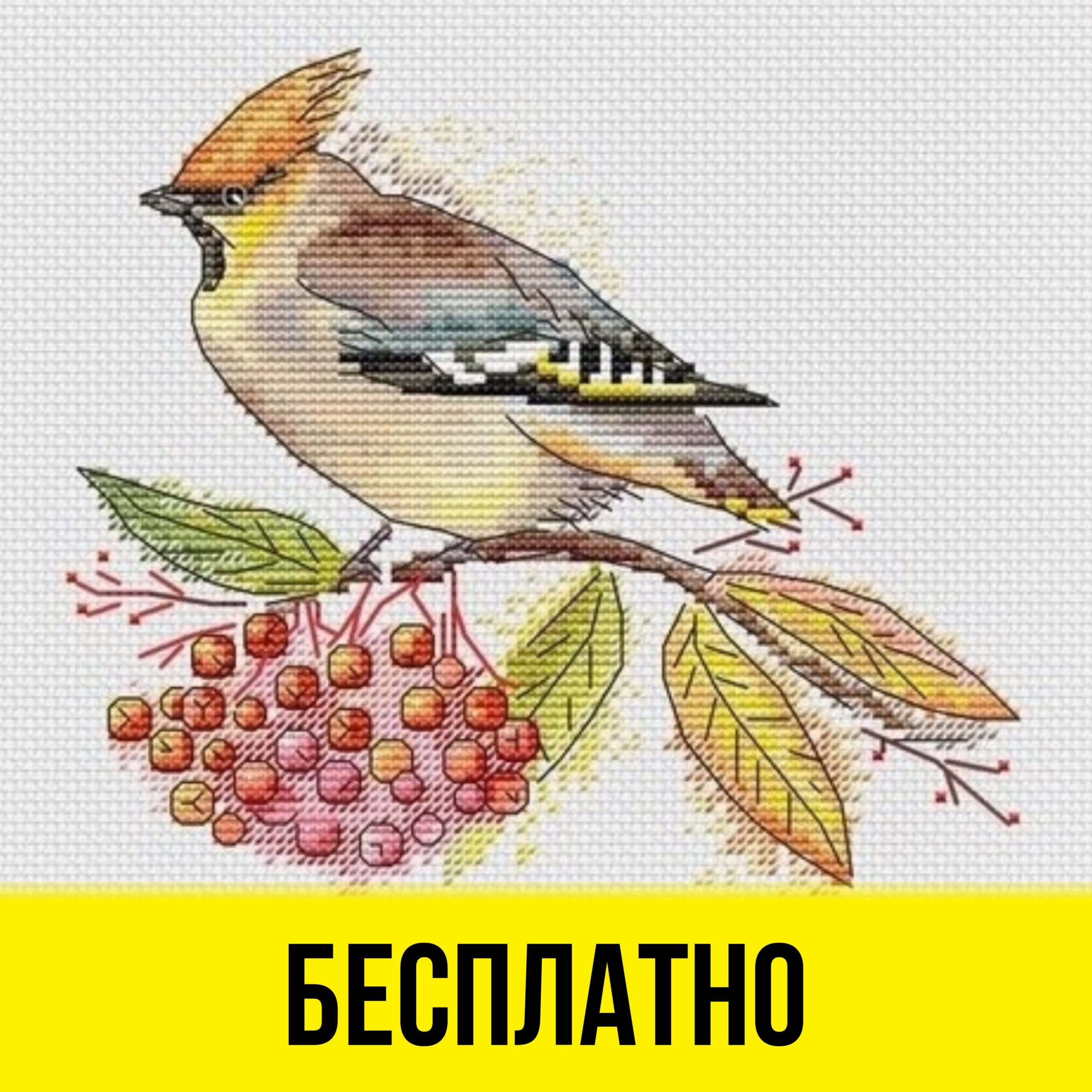 Свиристель - Бесплатная Схема Вышивки Крестом Птицы Осень